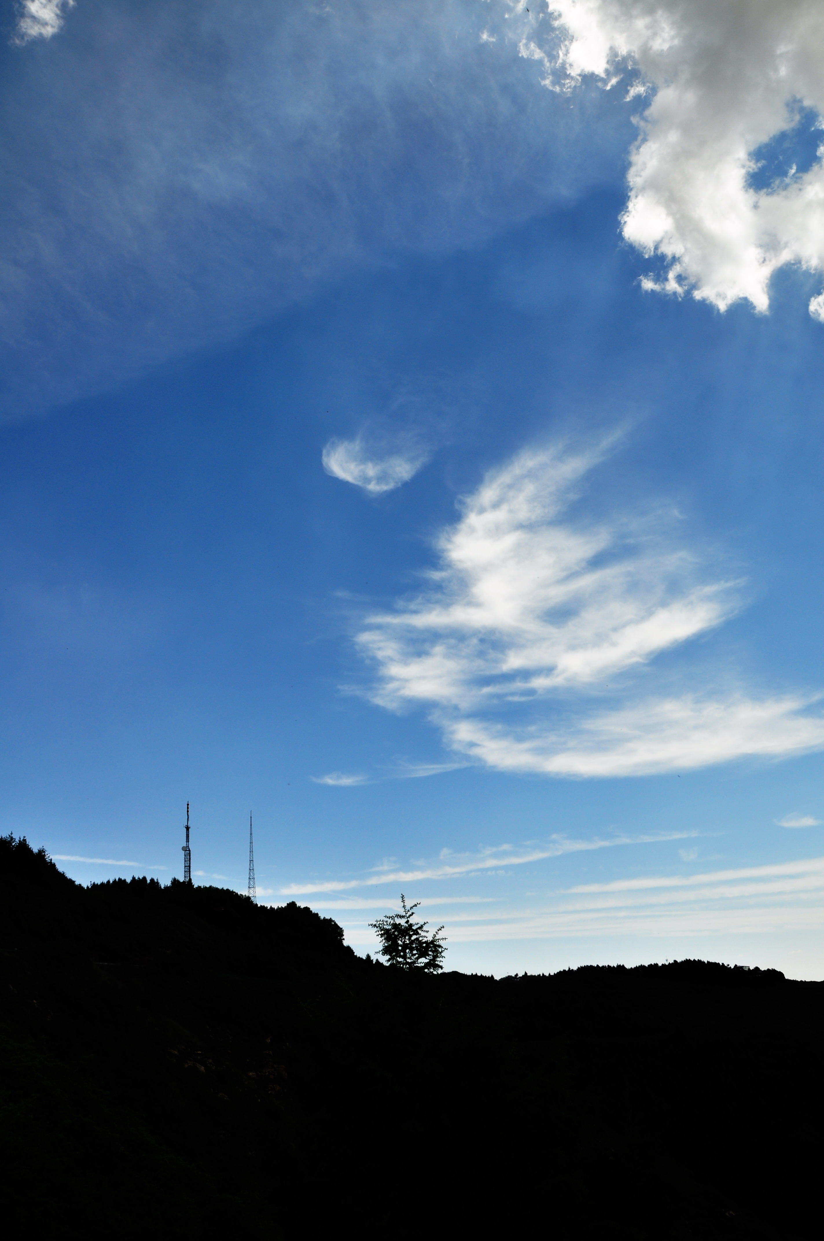 DSC_0247.jpg