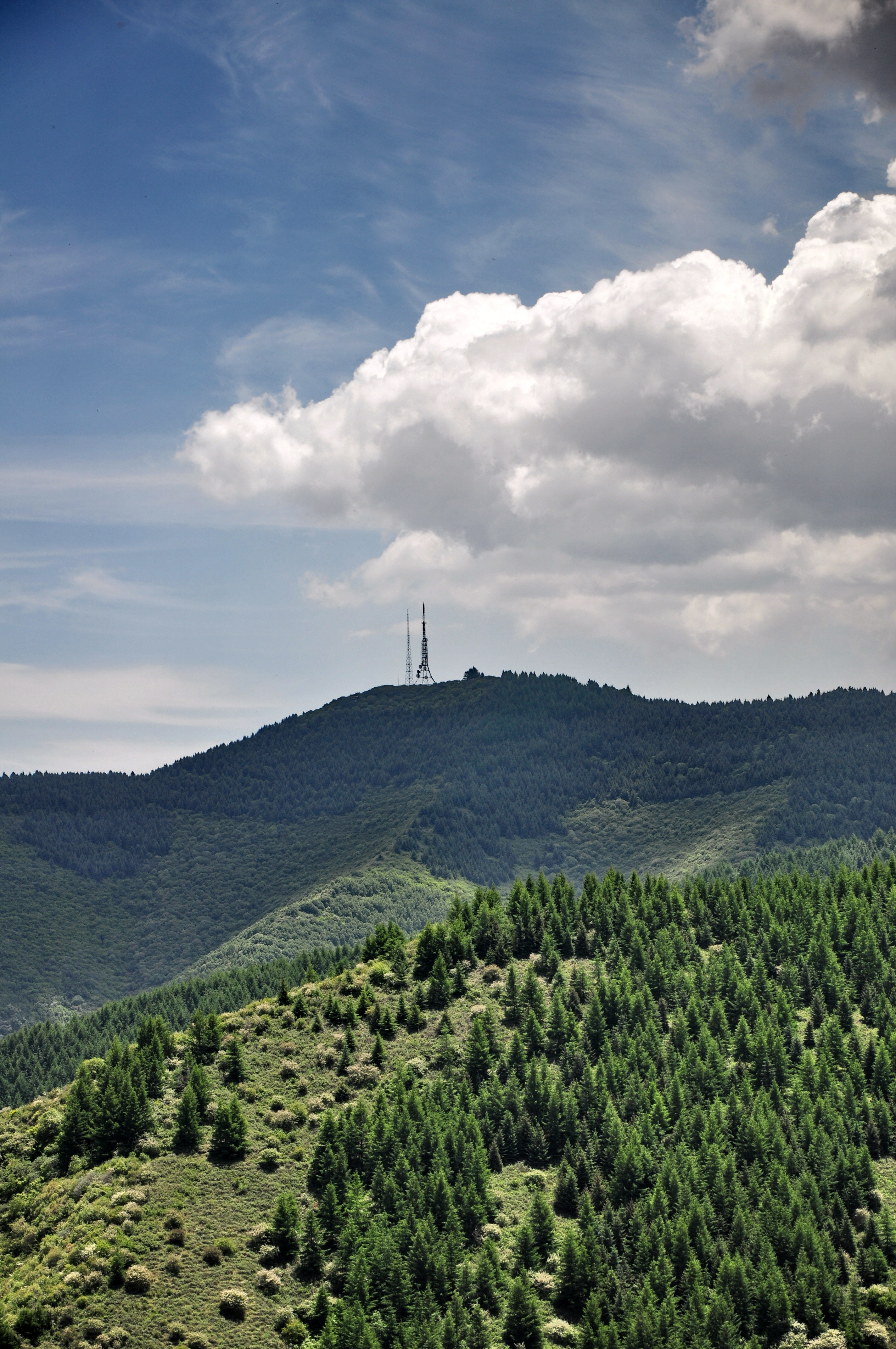 DSC_0271.jpg