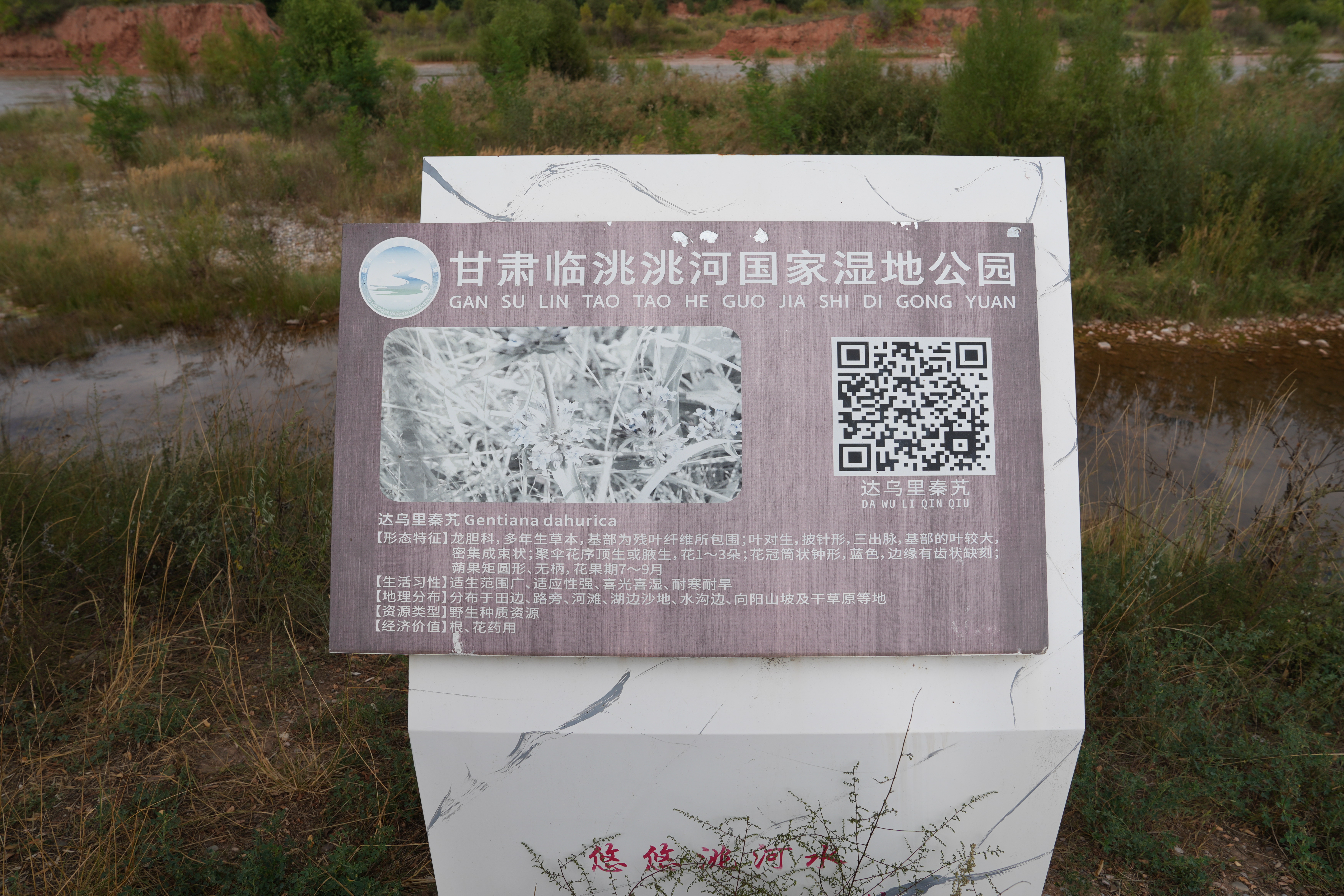 DSC09552.JPG