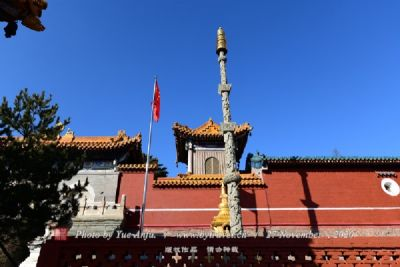 图片9.png